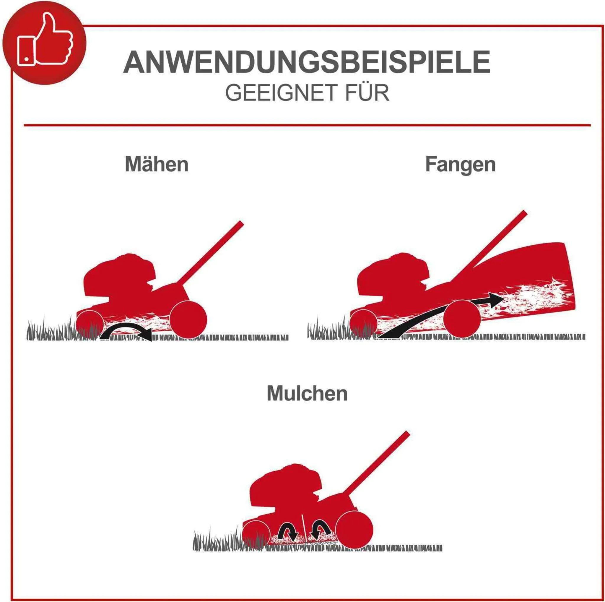 Scheppach Benzin-Rasenmäher MS225-56E - E-Start | Radantrieb | 6PS | 56cm Schnittbreite | 65 Liter Fangkorb | inkl. 2Ah Akku + 2,4A Ladegerät – Bild 3