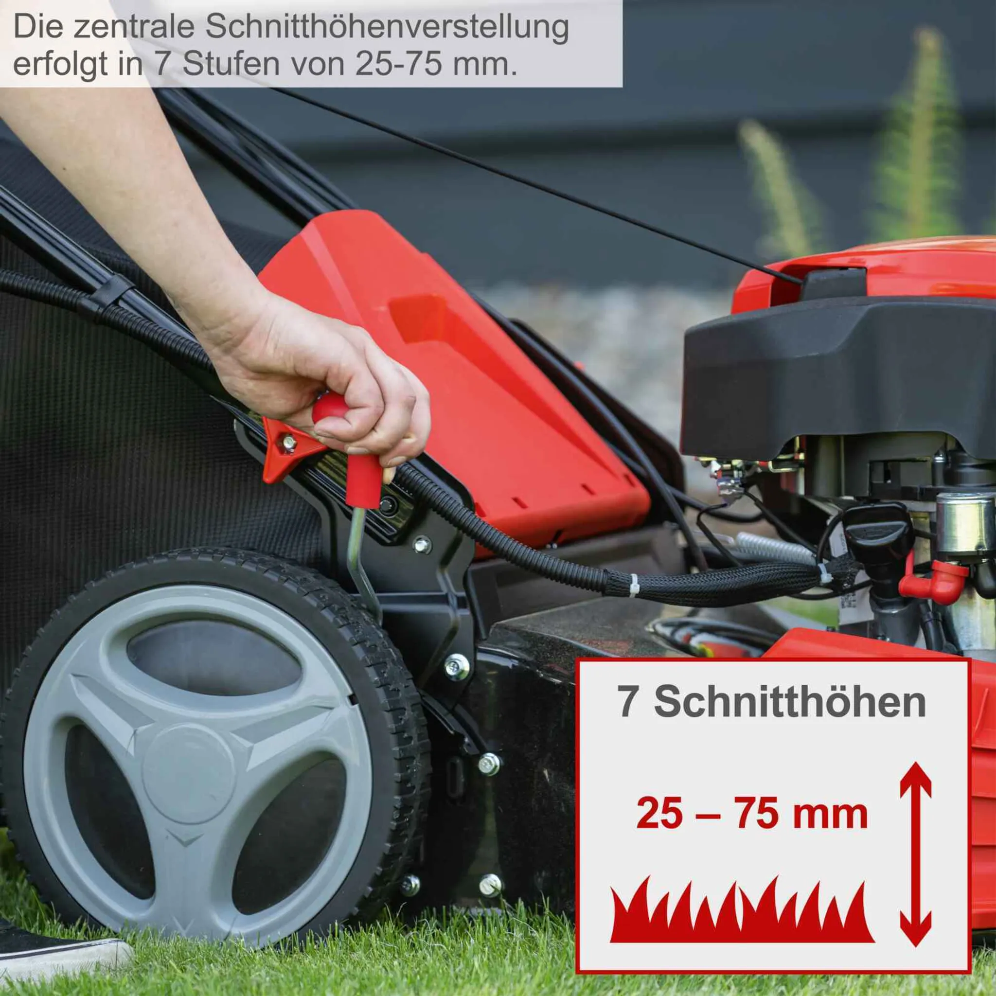 Scheppach MS225-53E Benzin Rasenmäher Elektrostart | Radantrieb | 6 PS | 53 cm Schnittbreite | 65 Liter Fangkorb | Reinigung | Mulchfunktion | Auswurf – Bild 10