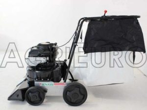 Benassi AF 100 - Laubsauger auf Räder zum Schieben - B&S 675 EXi