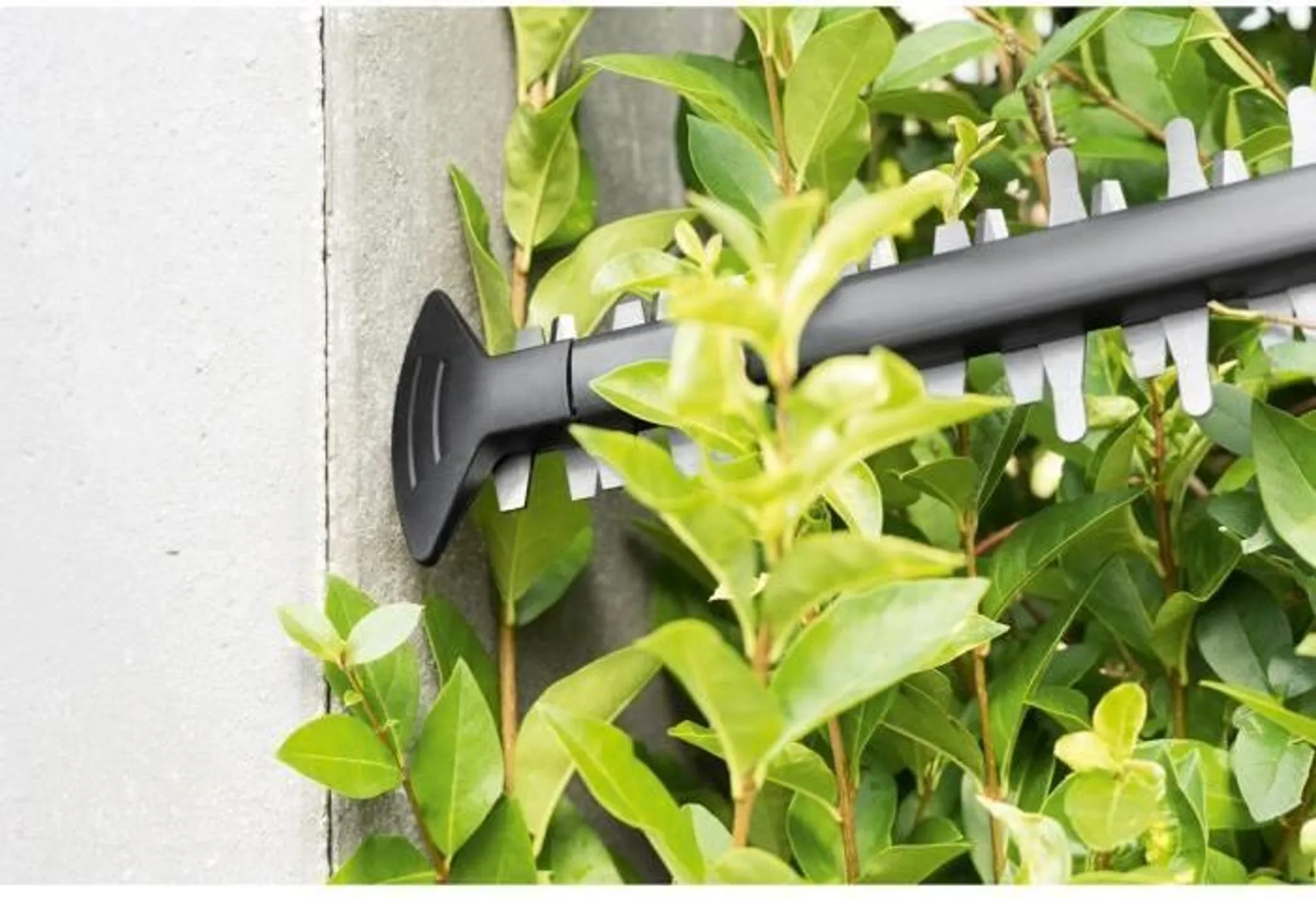 Bosch Akku-Heckenschere AHS 50-20 LI zweischneidig, Lithium-Ionen-Akku, 50 cm Schnittlänge, 0600849F00 – Bild 4