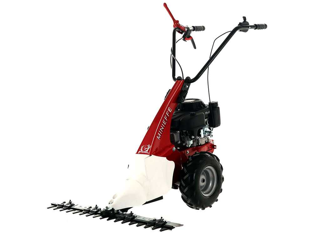 Eurosystems Minieffe Fadenmäher- Loncin 196 OHV – Bild 2