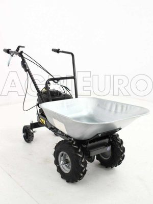Motorschubkarre Eurosystems mit Radantrieb und B&S 450E Benzinmotor